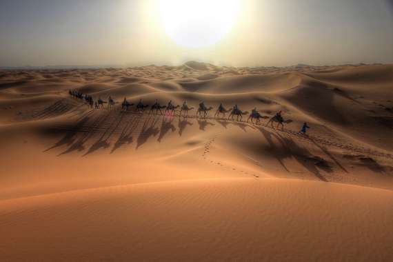 Une caravane dans le désert